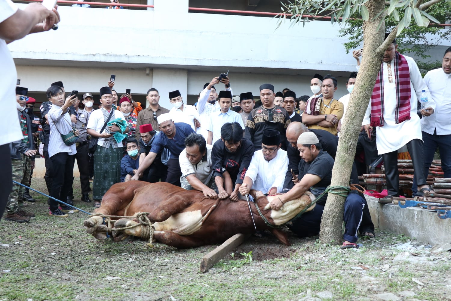 Gambar 2