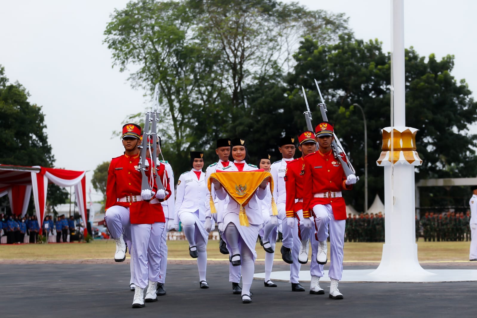 Gambar 6