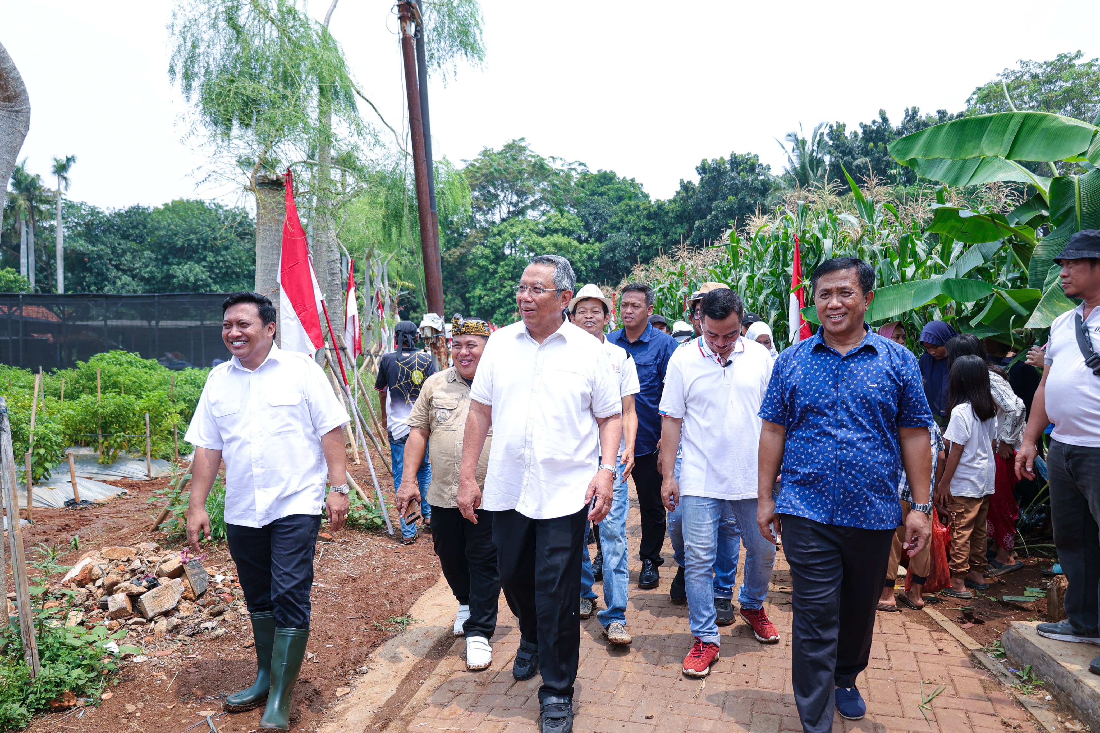 Gambar 5