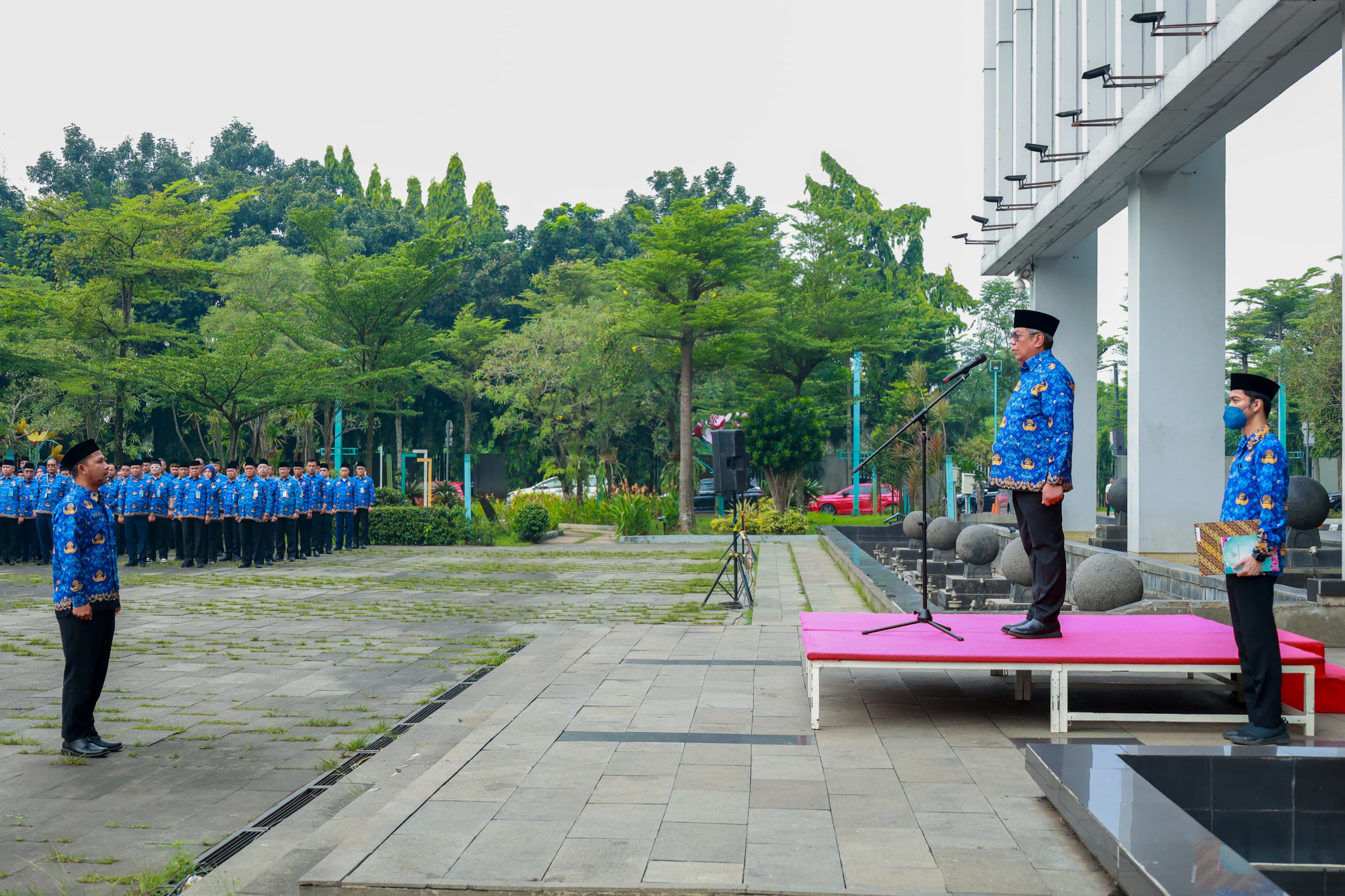 Gambar 5