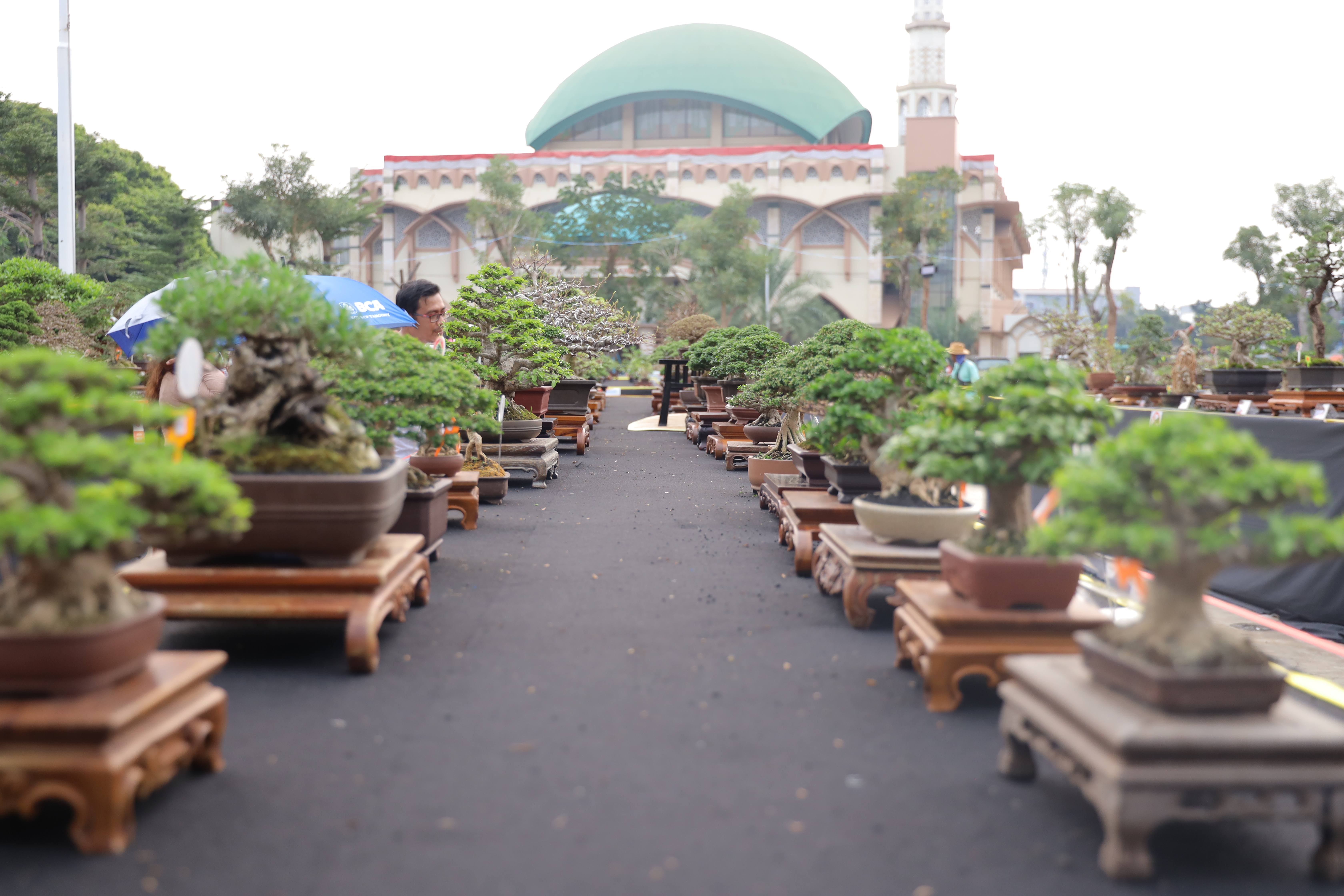 Gambar 7