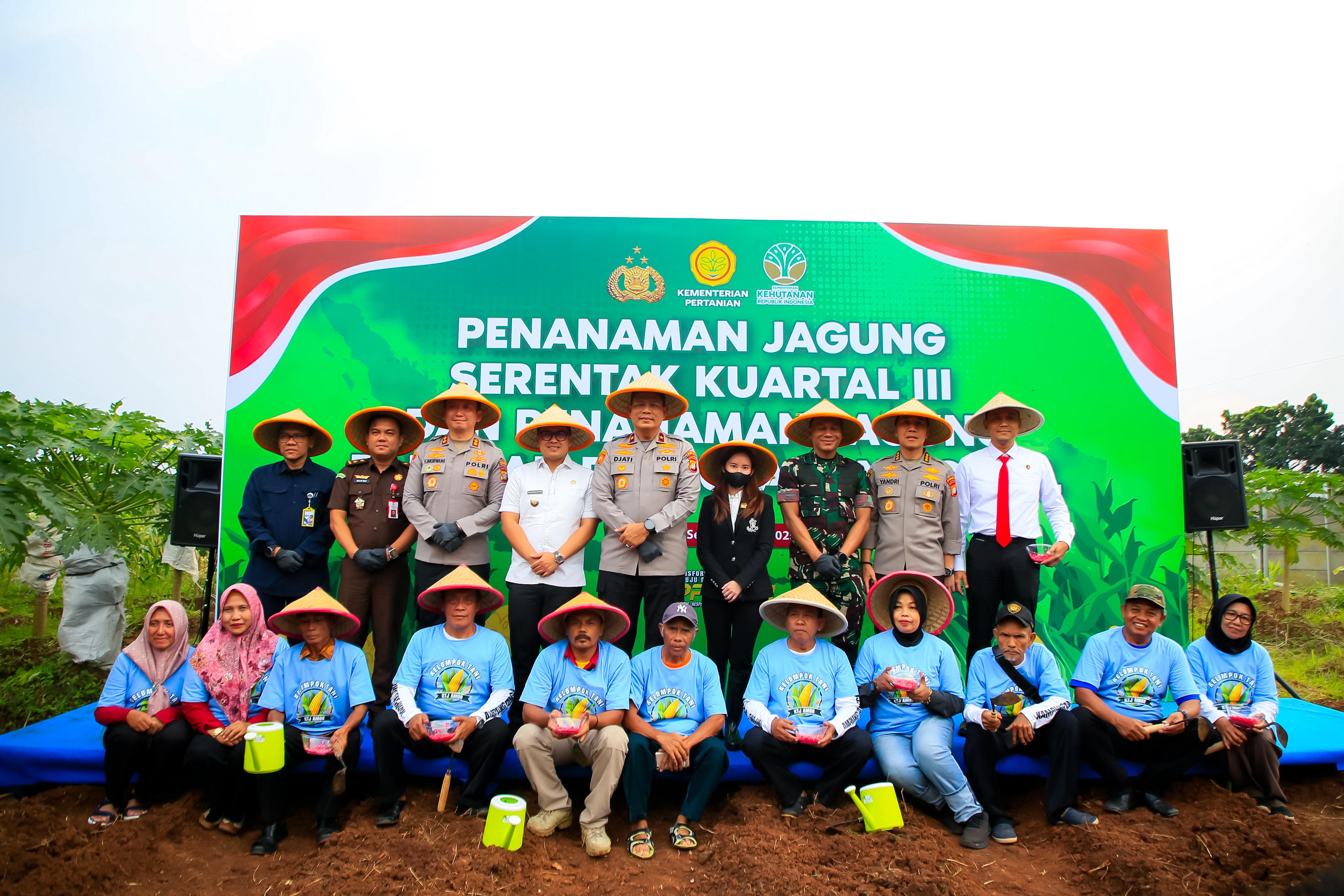 Gambar 5
