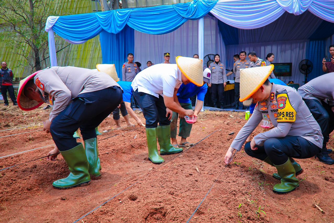 Gambar 2