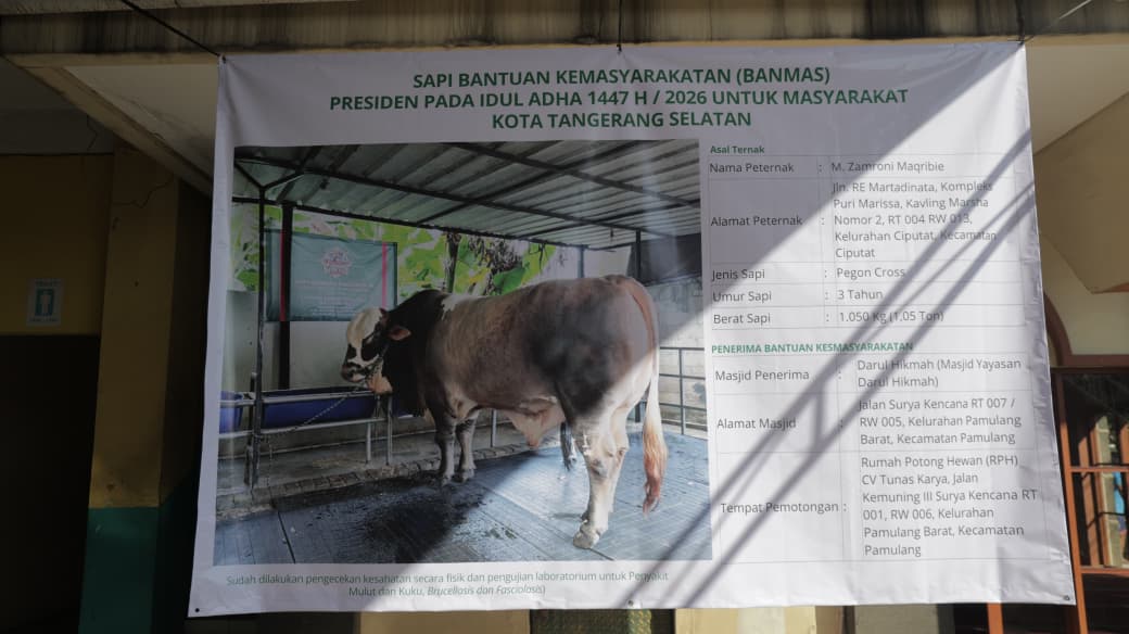 Gambar 3