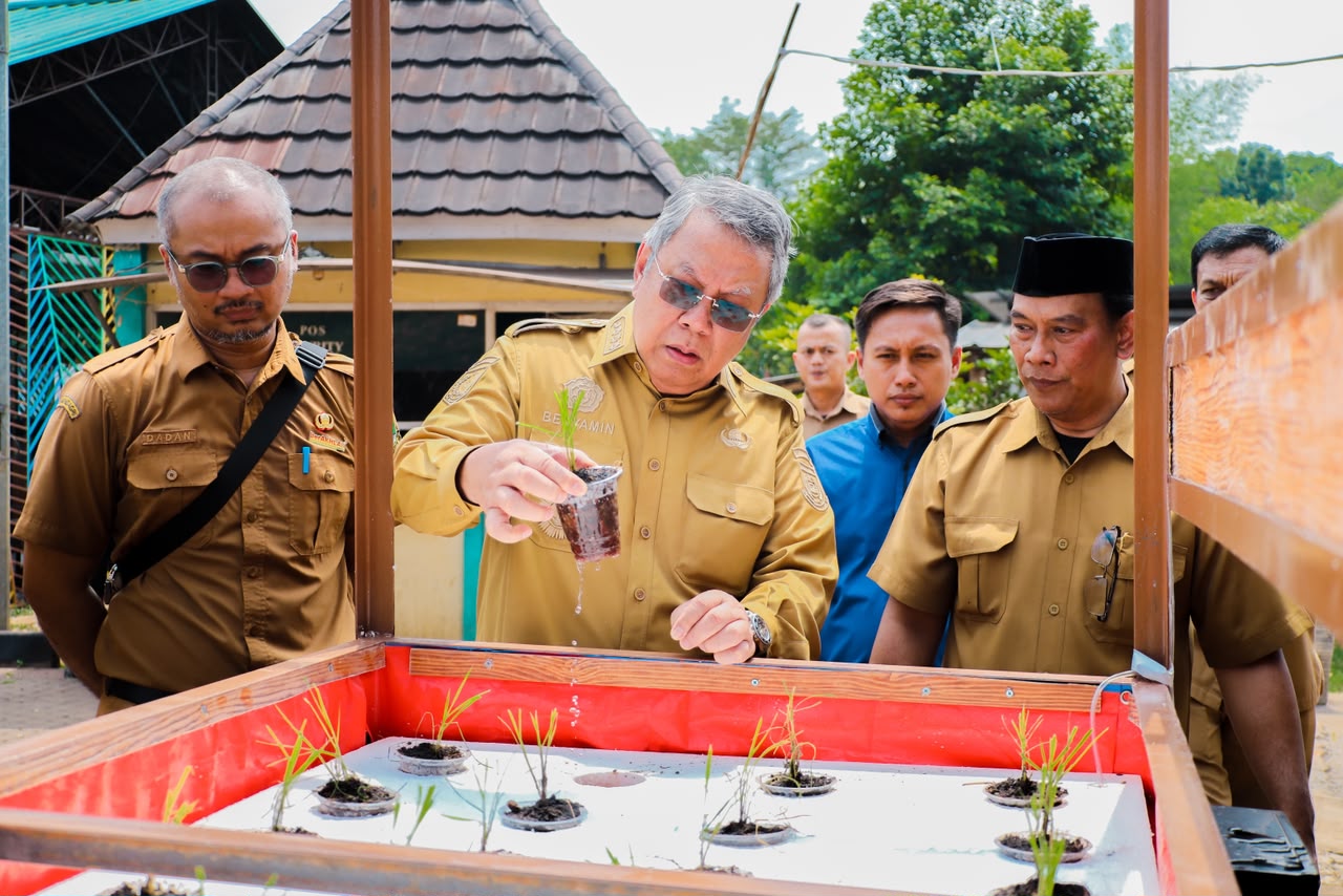 Gambar 5